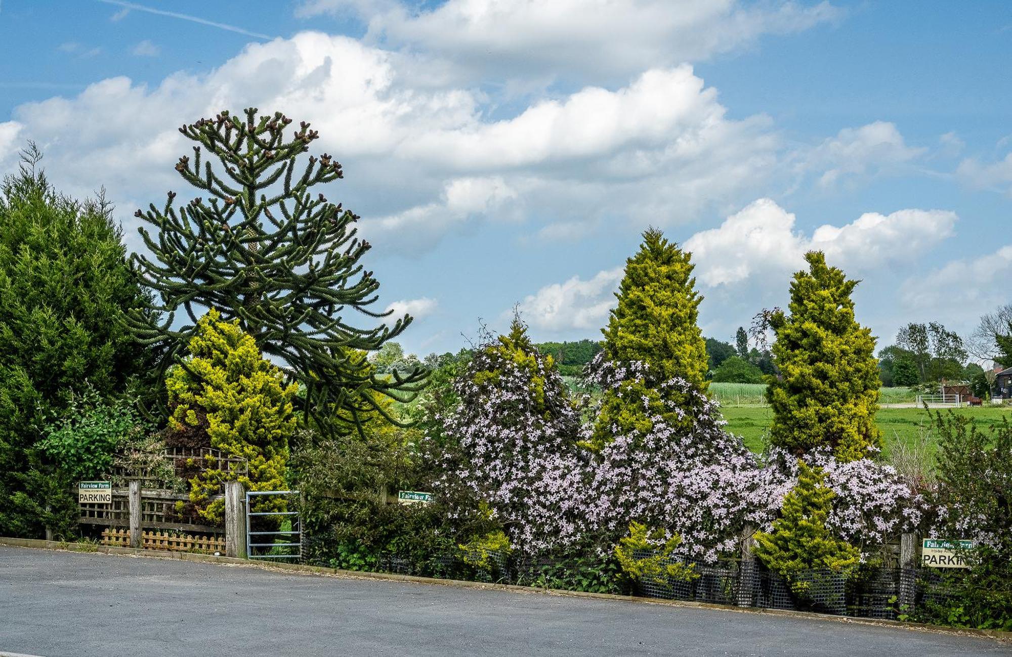 Upside Down House - Sleeps Up To 6 Guests - Great For Family And Friends Gatherings,Corporate Events ,Near Sherwood Forest At Fairview Farm In Nottingham Set In 88 Acres Dış mekan fotoğraf